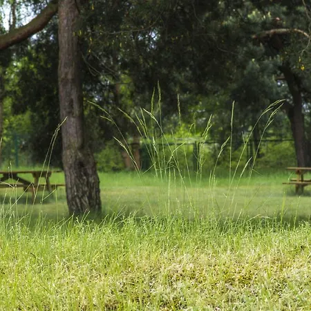 Хостел Scsk Brzezno